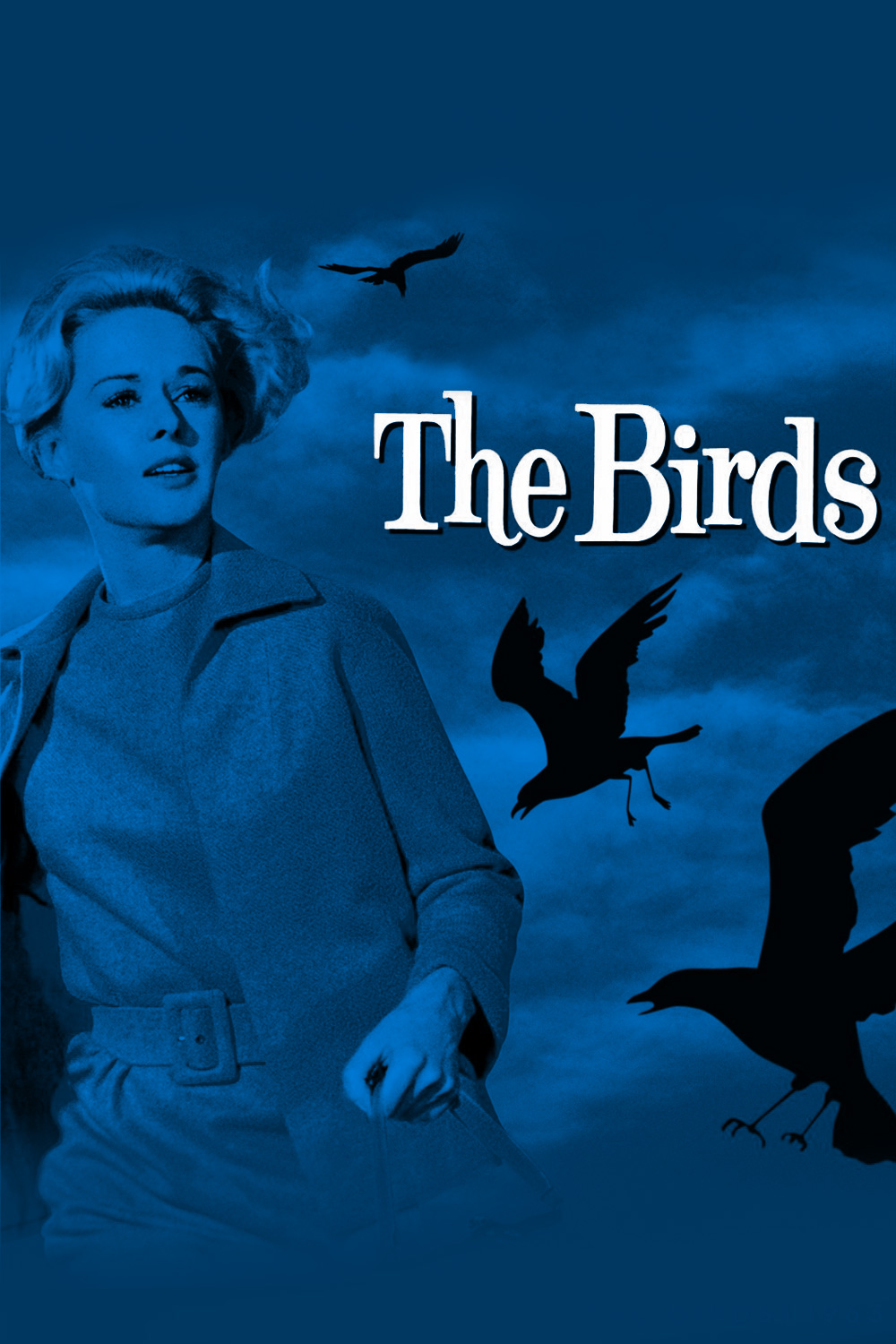 the-birds