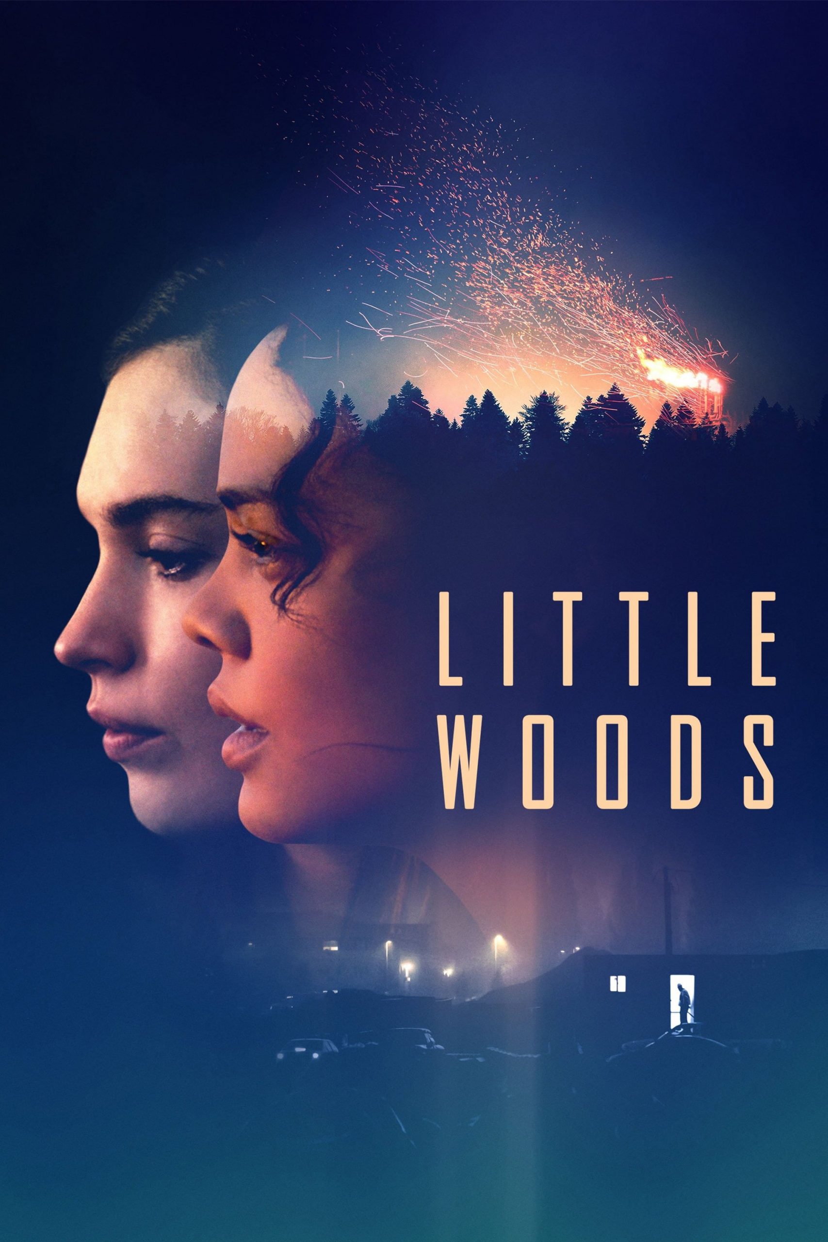 دانلود فیلم Little Woods 2018