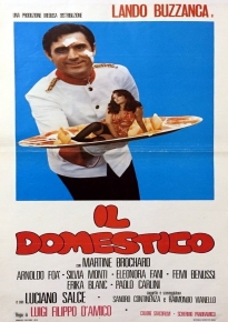 دانلود فیلم My Darling Domestic 1974