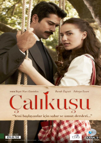 دانلود سریال Calikusu 2013