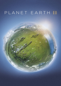 دانلود سریال Planet Earth II 2016