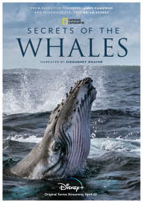 دانلود سریال Secrets of the Whales 2021