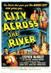 دانلود فیلم City Across the River 1949