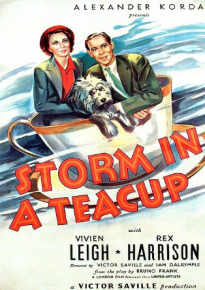 دانلود فیلم Storm in a Teacup 1937