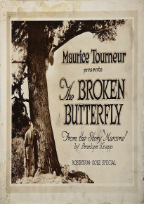 دانلود فیلم The Broken Butterfly 1919