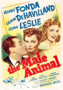 دانلود فیلم The Male Animal 1942