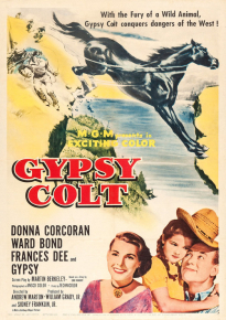 دانلود فیلم Gypsy Colt 1954