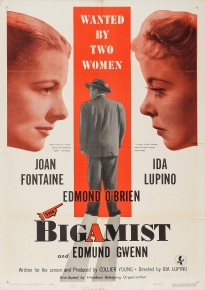 دانلود فیلم The Bigamist 1953