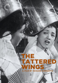 دانلود movie The Tattered Wings 1955