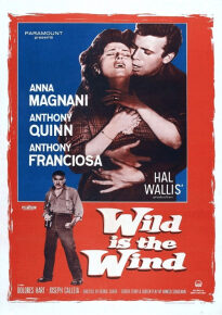 دانلود movie Wild Is the Wind 1957