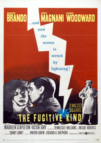 دانلود movie The Fugitive Kind 1960