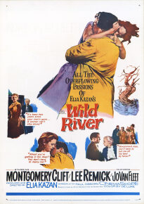 دانلود movie Wild River 1960