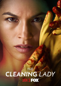 دانلود series The Cleaning Lady 2022