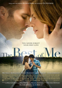 دانلود movie The Best of Me 2014