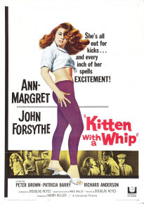 دانلود movie Kitten with a Whip 1964