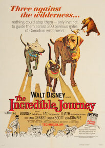 دانلود movie The Incredible Journey 1963