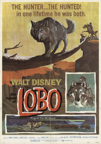 دانلود movie The Legend of Lobo 1962