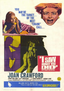 دانلود movie I Saw What You Did 1965