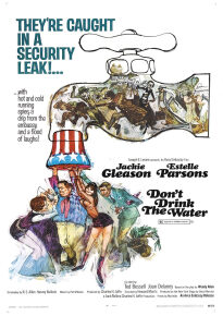 دانلود movie Don't Drink the Water 1969