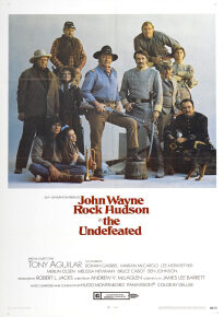 دانلود movie The Undefeated 1969