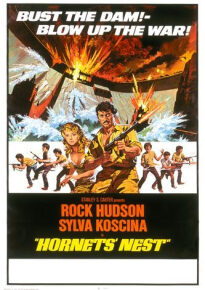 دانلود movie Hornets' Nest 1970