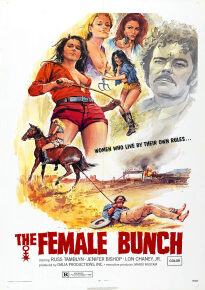 دانلود movie The Female Bunch 1971