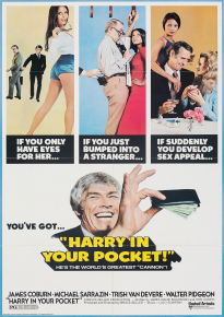 دانلود movie Harry in Your Pocket 1973